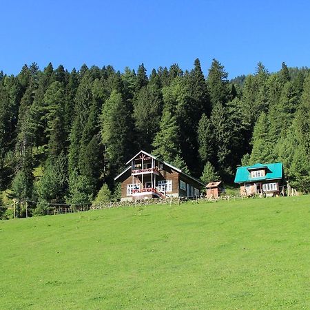 Hotel Peaceful Mornings Srinagar 외부 사진